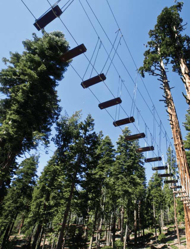 Tahoe Ropes Course
